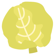 lechuga-8